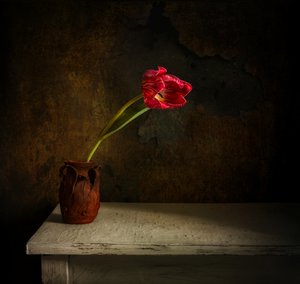 Moody Red Tulip av Mykhailo Sherman