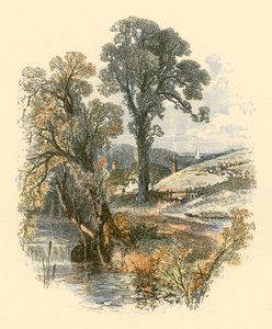 Naturens skjønnheter av Myles Birket Foster