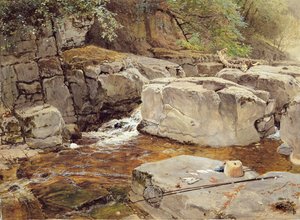Rocks on the Greta (akvarell og gouache på papir) av Myles Birket Foster