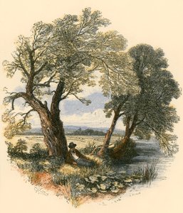 Sabbatsvandringer av Myles Birket Foster