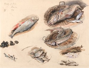 Studie av fisk, Venezia av Myles Birket Foster