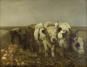 Rødbetehøsting av N.P. Mols