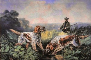 American Field Sports: Henting av N. and Ives J.M. (after) Currier