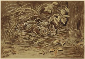 Små harer (litho)