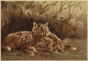 Røverhulen (litho)