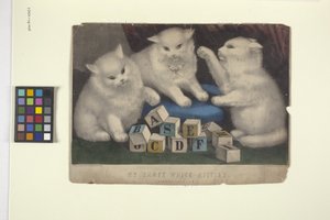 Mine tre hvite kattunger (håndfarget litografi)
