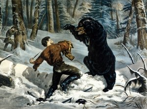 The Life of Trappers (Professional Hunters) i Canada: En jeger blir angrepet av en Grizzly Bear. Illustrasjon av Yves og Currier.