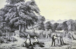Currier & Ives Illustrasjon 1800-tallet. Innhøsting av N. and Ives, J.M. Currier