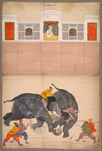 To elefanter som kjemper i en gårdsplass før Muhammad Shah, ca. 1730-40.