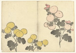 Stiliserte gule og rosa blomster Bildealbum av Korin (serietittel) Korin gafu (serietittel) av Nakamura Hochu