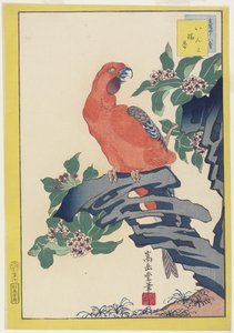 Pink Parrot on Rock, 1859 (farget treblokktrykk)
