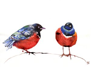 Chitchat, 2013, (blekk på papir)