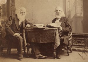William Cullen Bryant og Peter Cooper av Napoleon Sarony