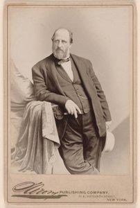 William Marcy Tweed av Napoleon Sarony