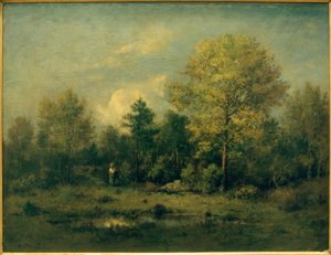 Landskap med en dam i skogen