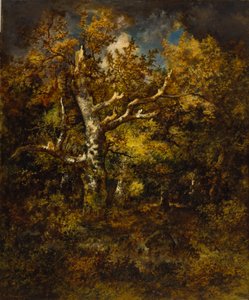 Fontainebleau-skogen, høst av Narcisse Virgile Diaz de la Peña