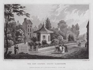 The New Sulphur Spring, Harrogate (gravering)