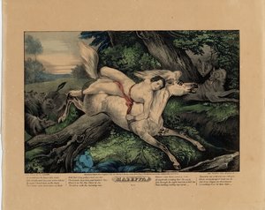 Mazeppa, 1846 (plate to av fire, se også 331977, 331978 og 331980) av Nathaniel Currier