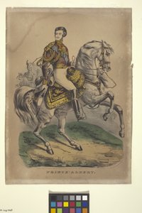 Prins Albert (håndfarget litografi) av Nathaniel Currier