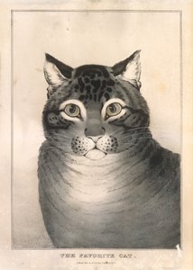 Favorittkatten, 1838-46., 1838-46.