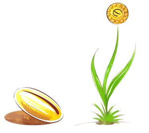 Seed and shoot - illustrasjon av finansiell allegori av Neale Osborne