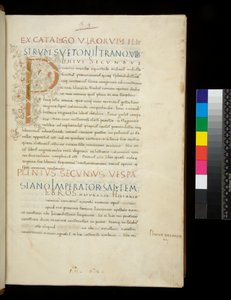 Ms 394.1. Plinius den eldre, Historia naturalis, f.1r. Opplyst initial [P] med dekor av hvit vinstokk (uferdig), Napoli, midten av 1400-tallet, ca. 1442 (pergament) av Neapolitan School