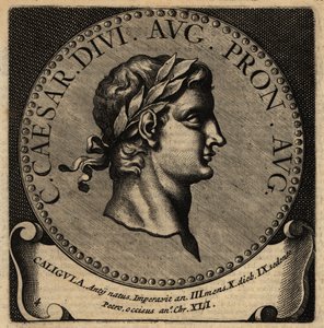Portrett av den romerske keiseren Caligula. av Netherlandish School