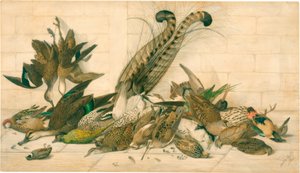 uten tittel (australske gamebirds) av Neville Henry Cayley