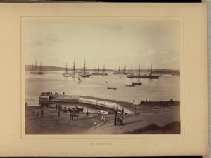  av New South Wales Government Printing Office