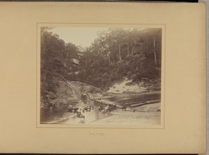  av New South Wales Government Printing Office