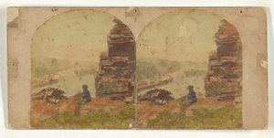  av New York Stereoscopic Company