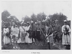 New Plymouth, New Zealand: A Maori Haka (s/hv-bilde)
