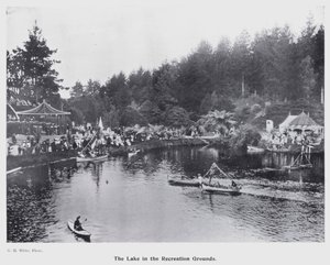 New Plymouth, New Zealand: The Lake in the Recreation Grounds (s/hv-bilde) av New Zealand Photographer