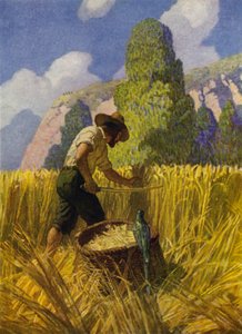 Illustrasjon for Robinson Crusoe (farge litho) av Newell Convers (after) Wyeth