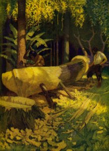 Illustrasjon for Robinson Crusoe (farge litho) av Newell Convers (after) Wyeth