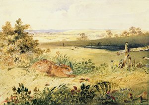 Hare in a Landscape, 1827 (wc med kroppsfarge, gummi arabicum og grafitt på papir) av Newton Fielding