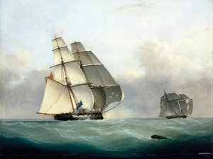  av Nicholas Matthews Condy