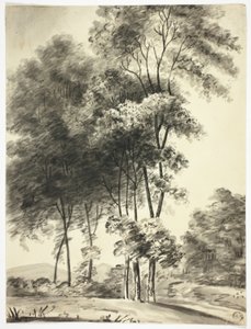  av Nicholas Pocock