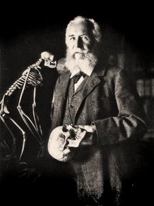 Portrett av Ernst Haeckel ved siden av skjelettet til en ape, ca. 1860 (bilde)