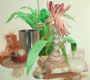  av Nicola Pucci