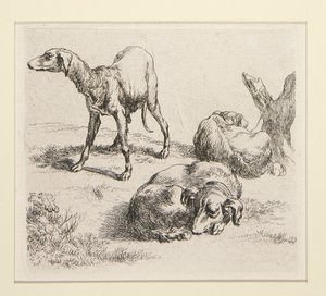 2 etsninger fra The Set of Various Animals, med mannen under trærne, den såkalte mannen av Nicolaes Berchem