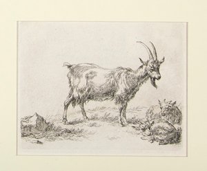 6 etsninger fra av Nicolaes Berchem