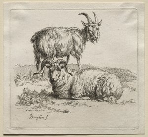 Animalia: Ram og geit