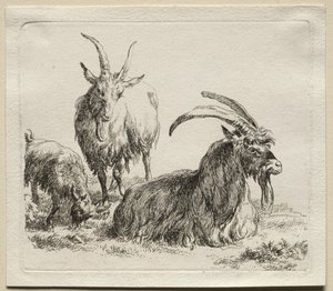 Animalia: Tre geiter av Nicolaes Berchem