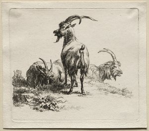 Animalia: Tre geiter av Nicolaes Berchem