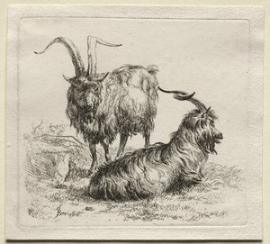 Animalia: To geiter av Nicolaes Berchem