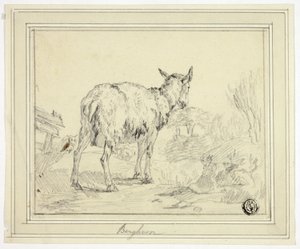 Geit av Nicolaes Berchem
