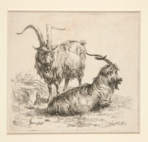 Geiter (fra av Nicolaes Berchem