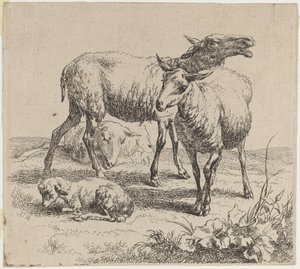 Tre sauer og et lam. av Nicolaes Berchem