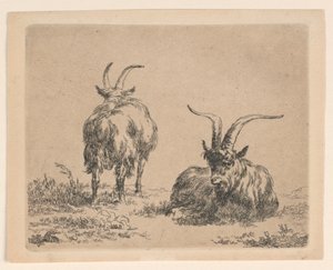 To geiter av Nicolaes Berchem